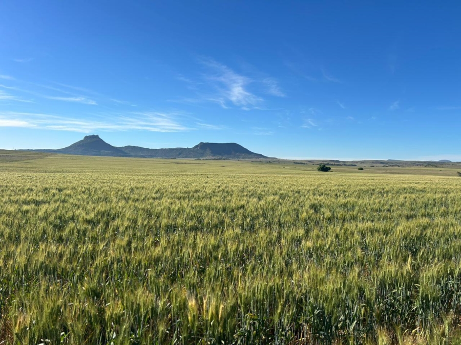 Commercial Property for Sale in Zastron Rural Free State